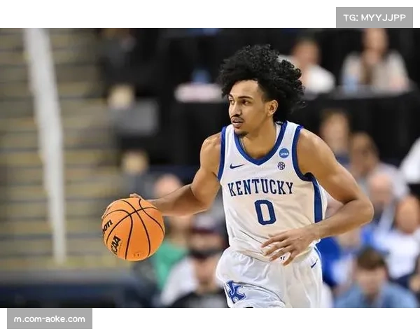 阿奴诺比3D属性价值维持 尼克斯防守体系依赖锋线多功能性 阿奴诺比3D属性价值维持 尼克斯防守体系依赖锋线多功能性